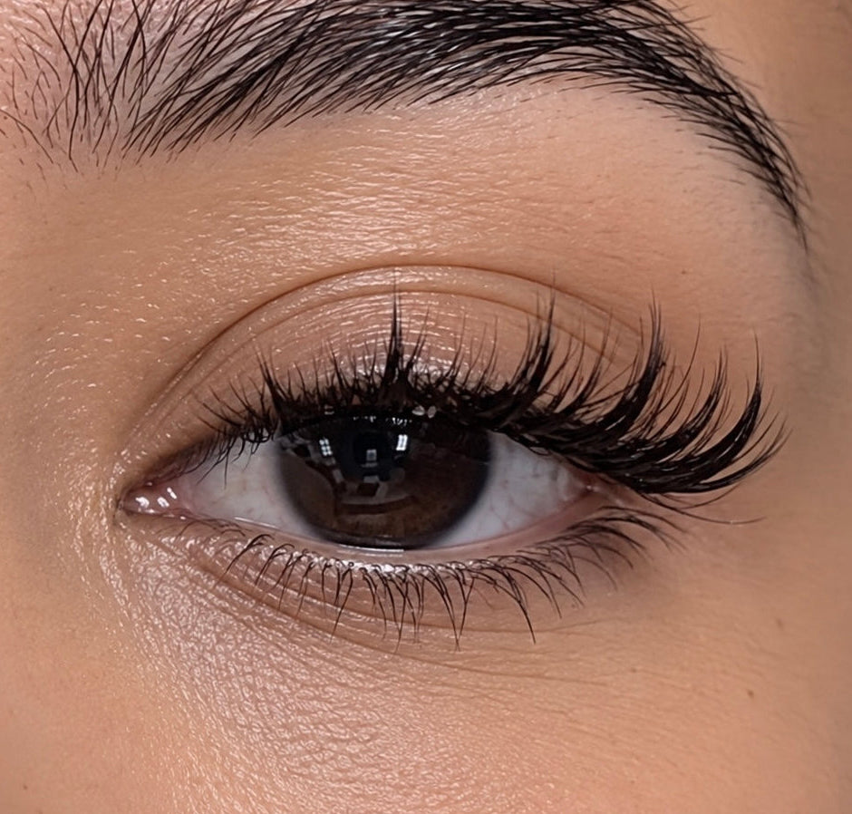 WHISPY LASHES